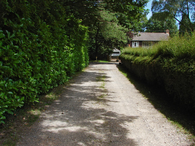  Sussex border path