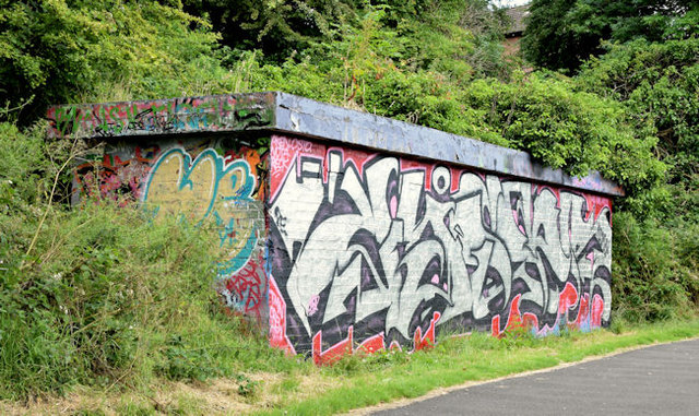 Graffiti, Lagan towpath, Stranmillis, Belfast (July 2014)