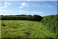 Footpath reaching a corner of a field