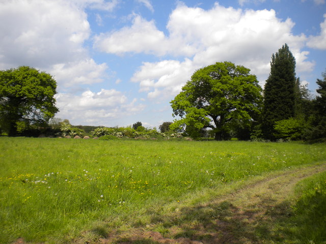 Small field next to Hagg Cottage
