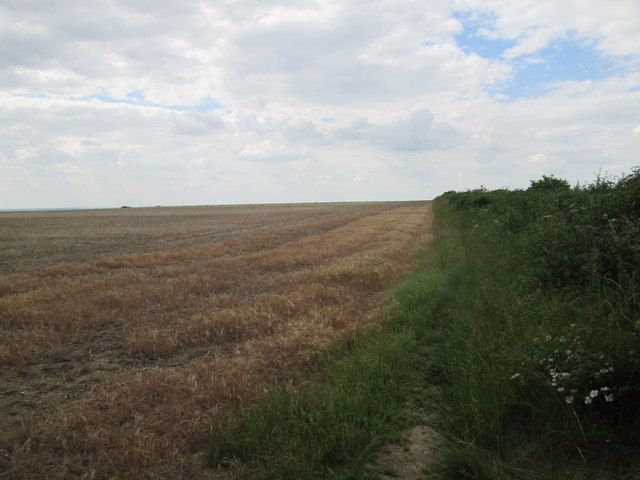 Fallow field edge from The Ridgeway © Martin Dawes cc-by-sa/2.0 ...