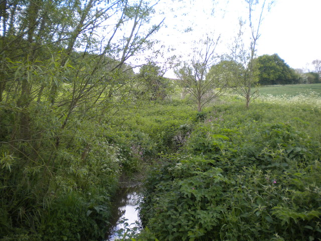 Thurgarton Beck east of Thistly Coppice (1)