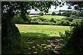 Fields near Trenewjack