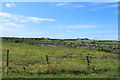 Farmland at Whithorn