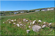 B6814 : Hill and housing, Arranmore by Rossographer