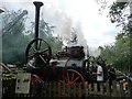 SU8529 : Portable steam engine interpreted at Hollycombe by Christine Johnstone