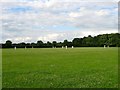 Fairfield Recreation Ground, Hurstpierpoint