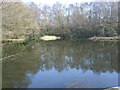 Early spring at Swanwick Lakes (2)