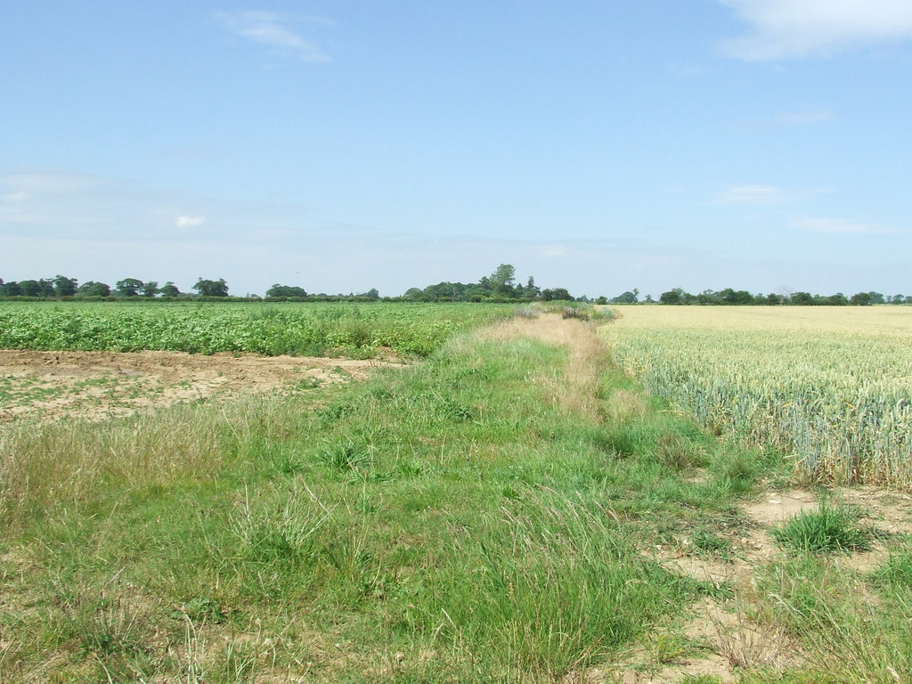 Field Divide © Keith Evans cc-by-sa/2.0 :: Geograph Britain and Ireland