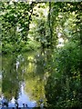 The River Lee below the St Mary