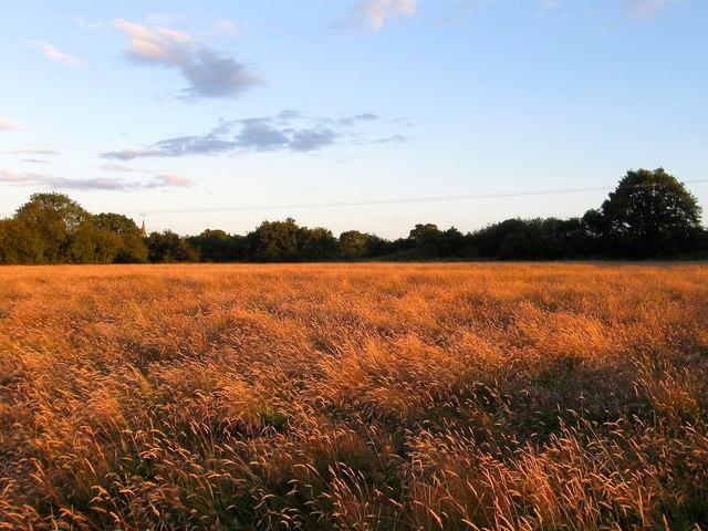 Five Acres © Simon Carey cc-by-sa/2.0 :: Geograph Britain and Ireland