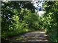 Ermine Street north of Elbow Lane Farm