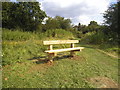 New bench in the park by Sullivan Way