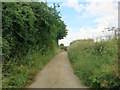 Footpath from Claypits to Herberts