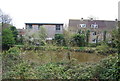 Houses across the canal