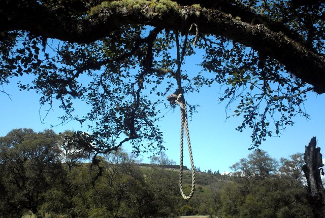 Hanging Tree?