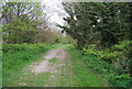 Royal Military Canal Path