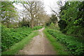 Royal Military Canal Path