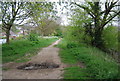 TR1534 : Royal Military Canal Path by N Chadwick