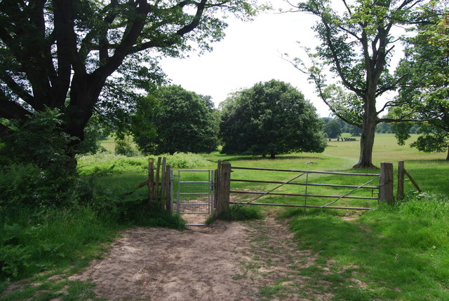 Footpath in Penshurst Park