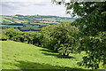 Farmland, Garway Hill