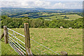 View towards the Black Mountains