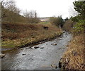 Rocky stream in Cwmparc