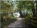 The end of the Wivenhoe to Colchester path