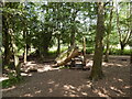TM0954 : Play area in woodland by Hamish Griffin