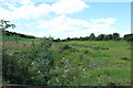 Farmland near Margaretsfield