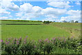 Farmland at Carrutherstown