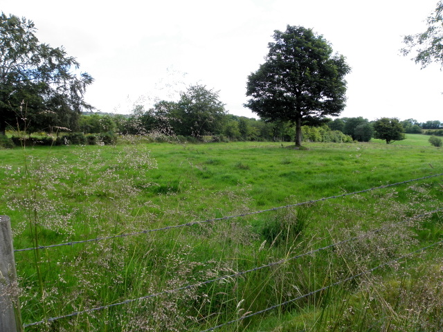 Lisnacreaght Townland © Kenneth Allen cc-by-sa/2.0 :: Geograph Ireland