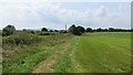 Grass field, Rowton