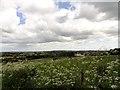 NZ1551 : View from Loud Hill, Annfield Plain by Robert Graham