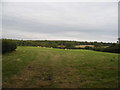 Field by Ashendene Road, Bayford