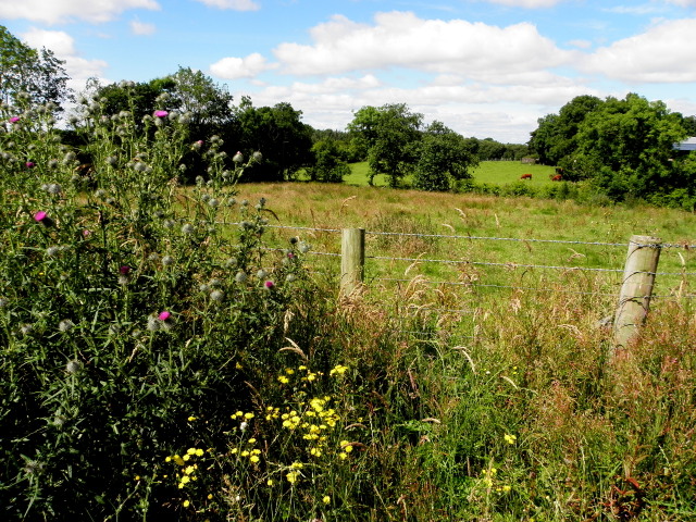 Dunteige Townland © Kenneth Allen :: Geograph Ireland