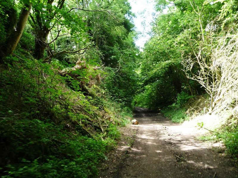 meon valley cycle trail