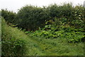 Public path off Everthorpe Road, North Cave