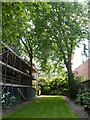 Garden of Bromley House Library