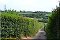 Lane south from near Newhouse Barton