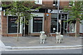 Sheep Sculptures, Lockerbie