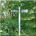 SK8658 : Bridleway sign by David Lally