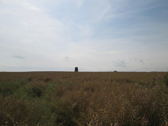 Old  Windmill  over  Rapeseed  field