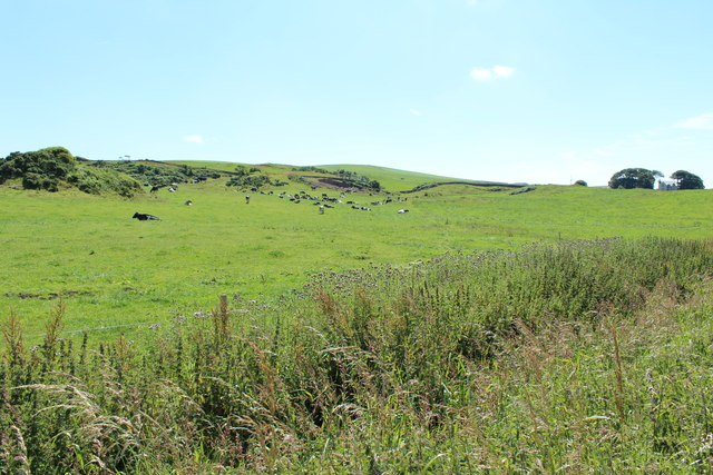 Farmland at Laigh Glenstockadale © Billy McCrorie :: Geograph Britain ...