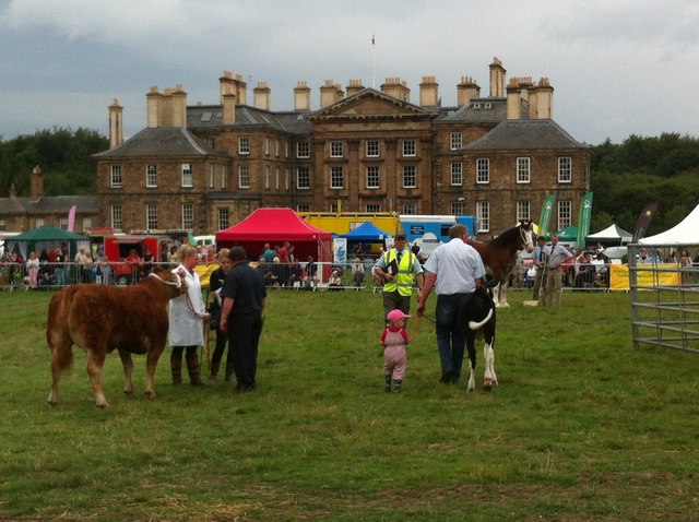 Champion of Champions Event, Dalkeith Show July 2014