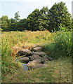 Valley Road Park Flood Plain, Nottingham NG5