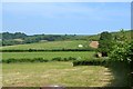 SX8364 : Fields by the west end of Combefishacre Lane by Robin Stott