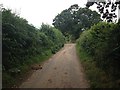 Small lane near Oakhanger