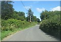 Country lane south of Winswell Moor