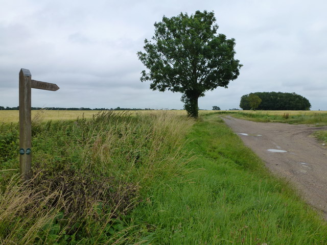 Track and footpath near Little Raveley